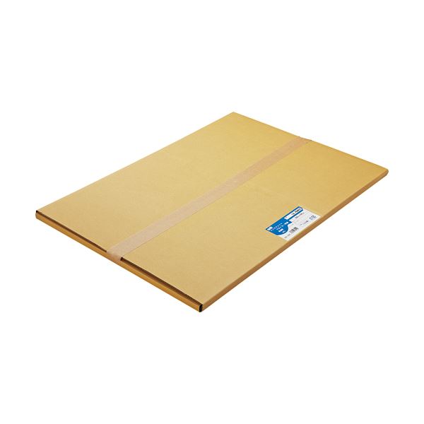 (まとめ) TANOSEE 普通紙 A2カット 420×594mm 1箱（100枚）  〔×5セット〕 【北海道・沖縄・離島配送不可】