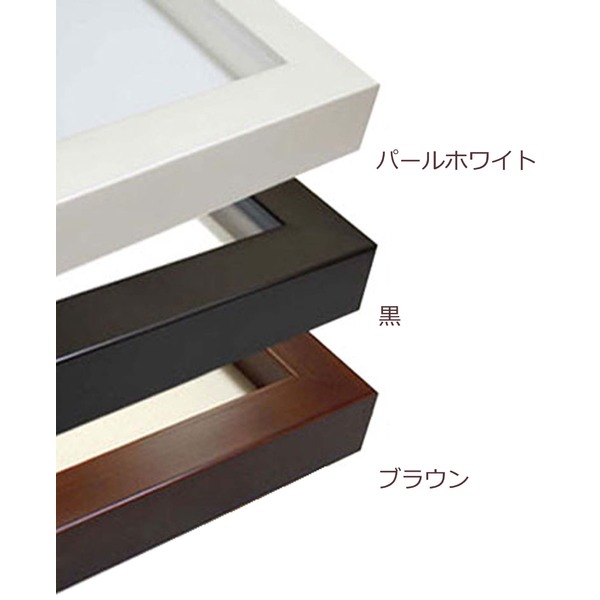 〔長方形額〕厚みのある作品収納可納 縦横兼用 横長額 厚み19mmまで 長方形額（700×350mm） パールホワイト 【北海道・沖縄・離島配送不可】_3