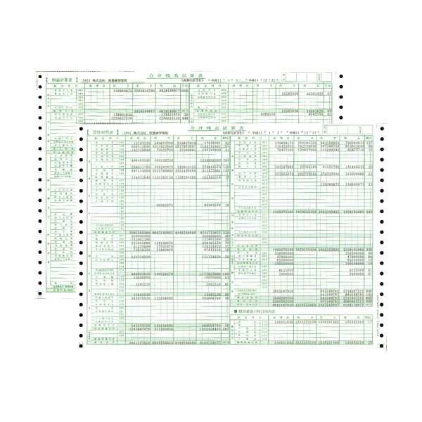東京ビジネス 合計残高試算表 (一般・科目印刷) CG100600 1冊(50セット) 〔×10セット〕