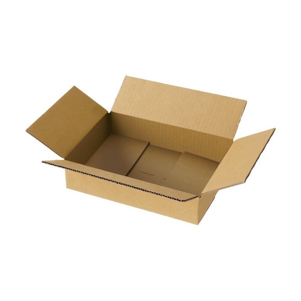 (まとめ) TANOSEE 軽量タイプ 宅配用段ボール 60-A4 1パック(20枚) 〔×5セット〕 【北海道・沖縄・離島配送不可】