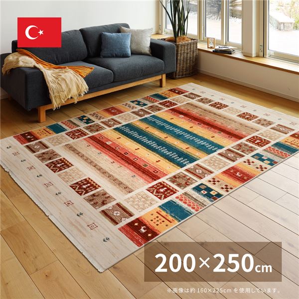 トルコ製 ラグマット/絨毯 〔約200×250cm〕 長方形 折りたたみ可 『RAKKAS ヴィフ』 〔リビング ダイニング〕 【北海道・沖縄・離島配送不可】