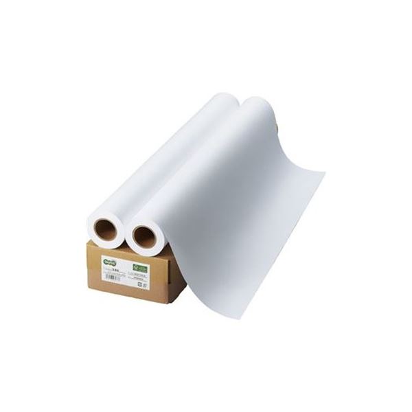 〔5個セット〕 サンワサプライ カラーレーザー用 耐水紙・標準 A3サイズ LBP-WPF12MDPN-A3X5[21] 5個セット サンワサプライ カラーレーザー用 耐水紙・標準 A3サイズ