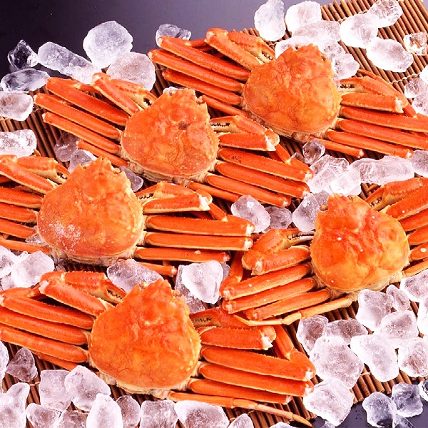 〔身入り抜群のA級品！〕カナダ産ボイルズワイガニ姿・約600g×5尾 冷凍ズワイ蟹 【北海道・沖縄・離島配送不可】