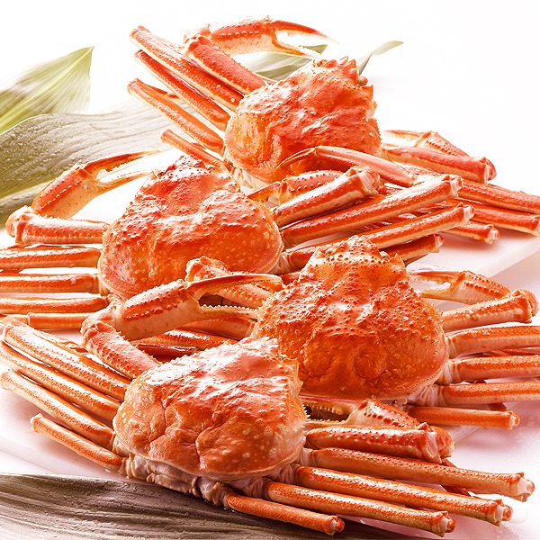 〔身入り抜群のA級品！〕カナダ産ボイルズワイガニ姿・約750g×4尾 冷凍ズワイ蟹 【北海道・沖縄・離島配送不可】