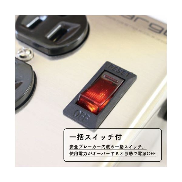 ファーゴ スチールタップ AC6個口 シルバー 1.8m PT406SV 1個 【北海道・沖縄・離島配送不可】