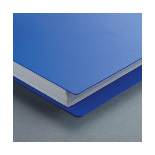 ds-2240297 (まとめ) TANOSEE DリングファイルA4タテ 2穴 280枚収容 背幅45mm ブルー 1冊  (ds2240297) ds-2240297 (まとめ) TANOSEE DリングファイルA4タテ 2穴 280枚収容 背幅