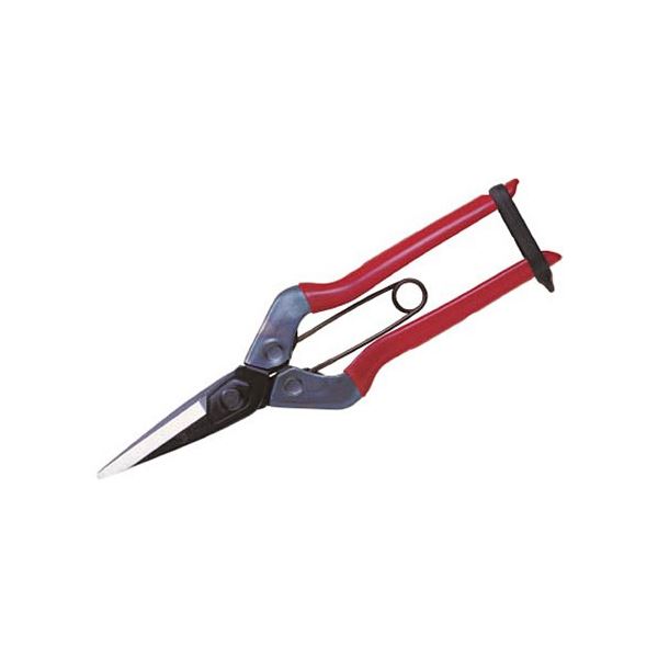 (まとめ) 近正(チカマサ) 采園鋏 T-600 1個 〔×3セット〕 【北海道・沖縄・離島配送不可】の通販は