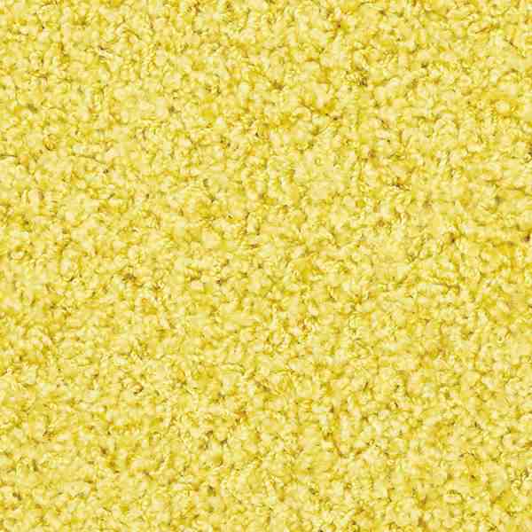 ラグマット/絨毯 〔約200×300cm レモン〕 ホットカーペット対応 手洗い可 日本製 『ジャスパーPlus』 プレーベルのサムネイル