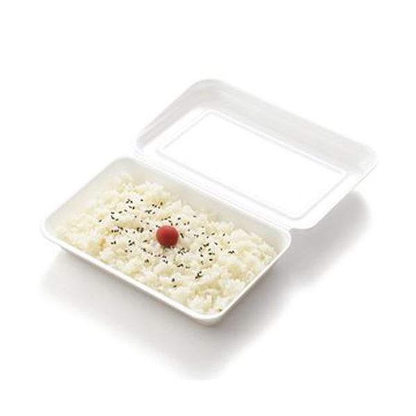 （まとめ）リスパック 発泡嵌合パック 大RLBE099 1パック（50枚）〔×20セット〕 【北海道・沖縄・離島配送不可】