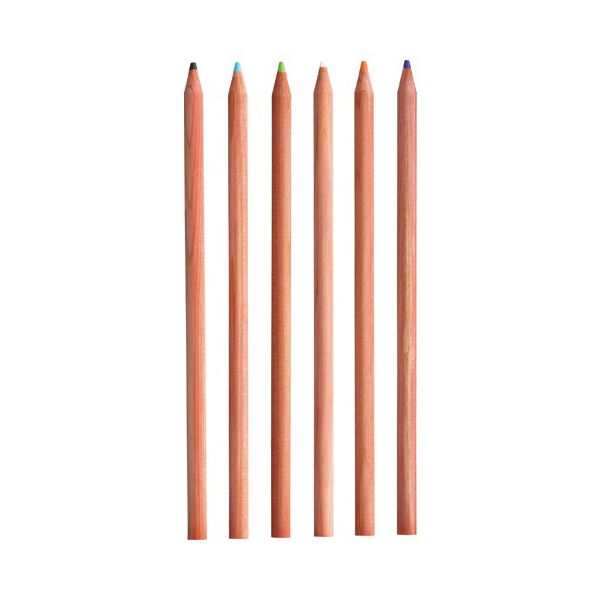(まとめ) TANOSEE 色鉛筆 12色（各色1本） 1セット  〔×30セット〕 【北海道・沖縄・離島配送不可】_2