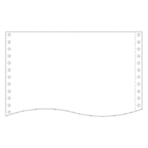 （まとめ）トッパンフォームズ NIPフォーム15×11インチ 1P 白無地 1510N1 1箱(2000枚) 〔×2セット〕の通販は 15,632円