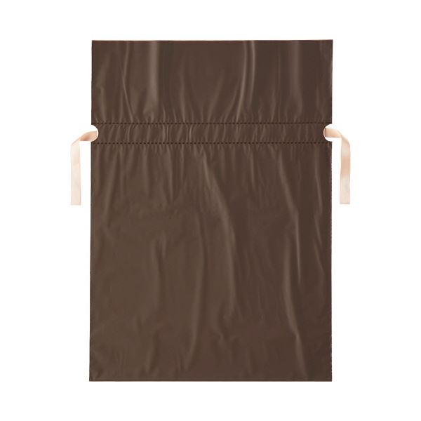 （まとめ）店研創意 ストア・エキスプレス 梨地リボン付ギフトバッグ ブラウン 31cm 1パック（20枚） 〔×3セット〕 【北海道・沖縄・離島配送不可】の通販は 6,812円