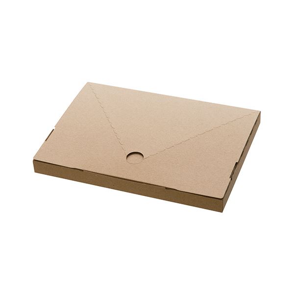 (まとめ) ヘッズ 無地コンパクト宅配ボックスW230×D20×H165mm M-TBX2 1パック（20枚） 〔×10セット〕 【北海道・沖縄・離島配送不可】 10,243円
