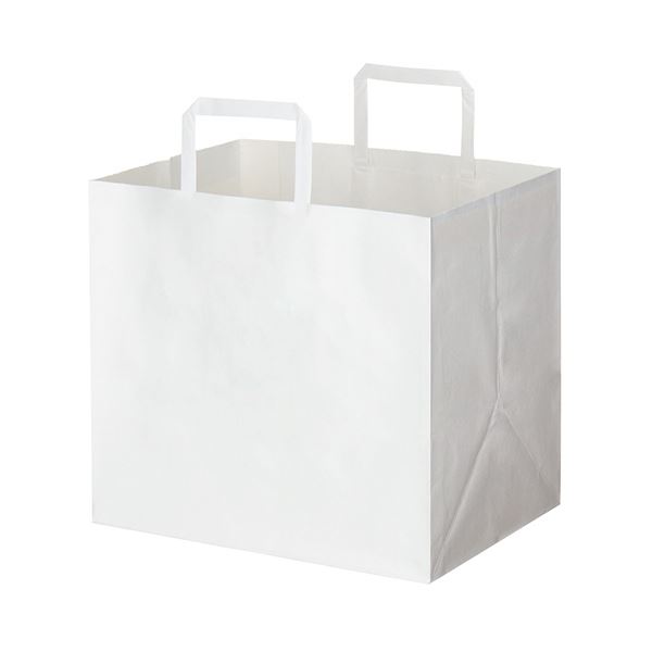 （まとめ） HEIKO Hフラットチャームバッグ300-1 白 #003277105 1パック（50枚） 〔×2セット〕(代引不可) heiko hフラットチャームバッグ 300-1 未晒無地の通販