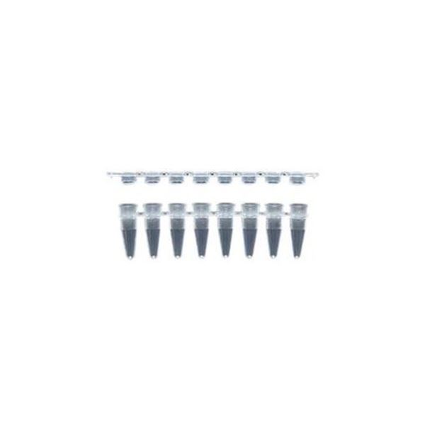 PCR用8連チューブ（フラットキャップ） 0.2mL BRG-FC-01（120ストリップ） 【北海道・沖縄・離島配送不可】