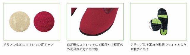 徳武産業 あゆみシューズ 介護靴 施設用 ウィングストレッチ ベージュ