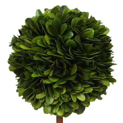 ダルトン 観葉植物 トピアリー ボール Topiary Ball S Ch07 G297sの通販はau Pay マーケット フジックス