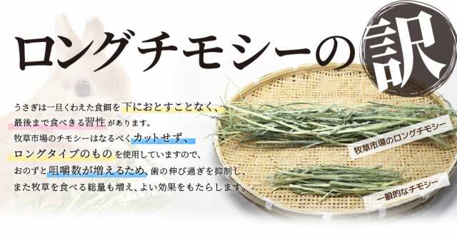 マペット 牧草市場 スーパープレミアムチモシー 1番刈り 800g ウサギ用フードの通販はau Pay マーケット フジックス