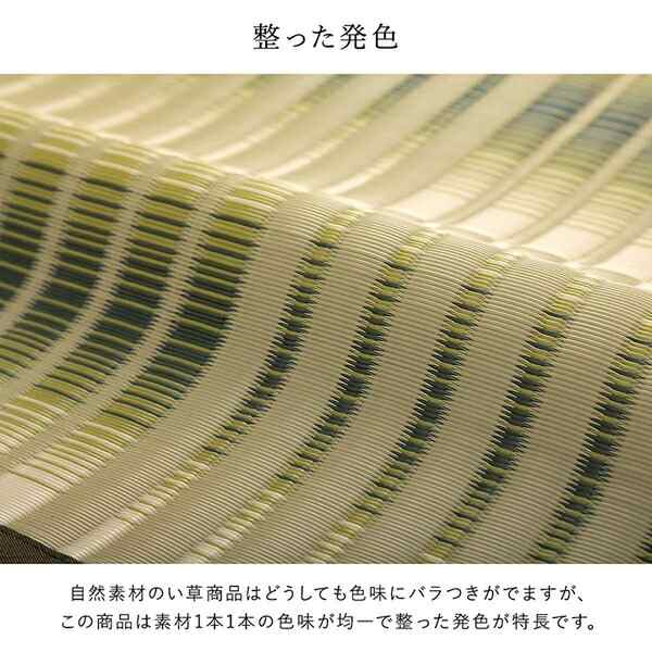 洗える ござ カーペット 江戸間2畳 約174×174cm グリーン 日本製 国産