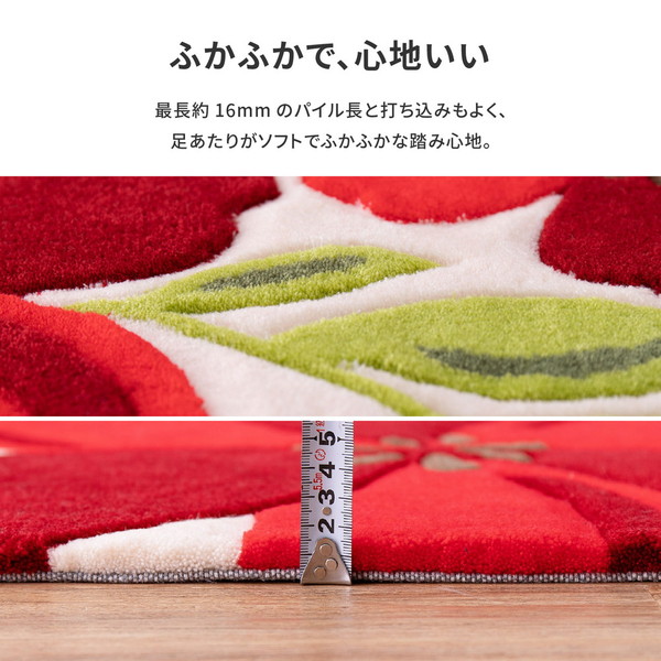 玄関マット アベル 約70×120cm 【北海道・沖縄・離島配送不可】_3