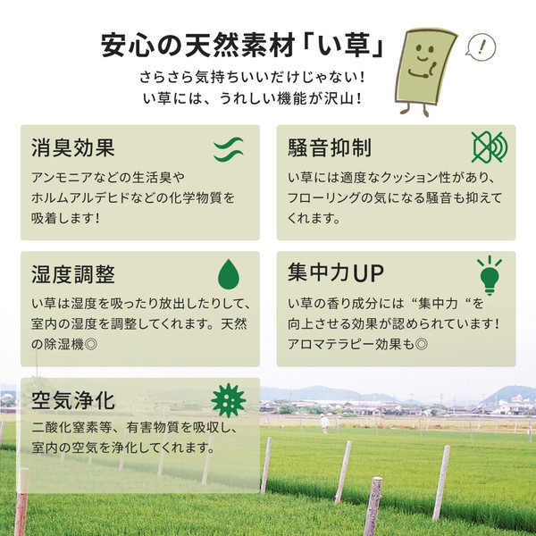 国産い草 ラグマット(裏貼り)/絨毯 〔約191×250cm ベージュ〕 日本製 縁：綿100％ 『右京 うきょう』 〔リビング ダイニング〕 【北海道・沖縄・離島配送不可】_3
