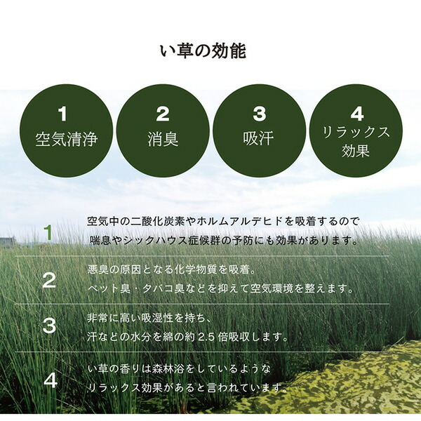 い草 置き畳/ユニット畳 〔約70×70×1.5cm 4枚組 ネイビー2枚 グレー2枚〕 無地調 抗菌 防臭 消臭 調湿 縁無し 防滑 【北海道・沖縄・離島配送不可】_17
