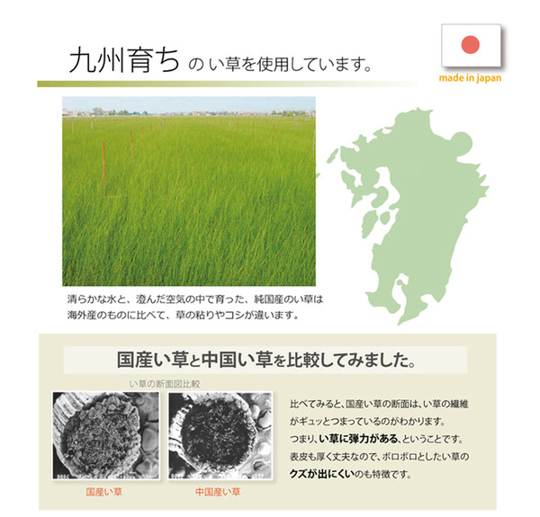 置き畳 半畳 国産 い草ラグ 『あぐら』 ブラウン 約82×82cm 12枚組 【北海道・沖縄・離島配送不可】_8