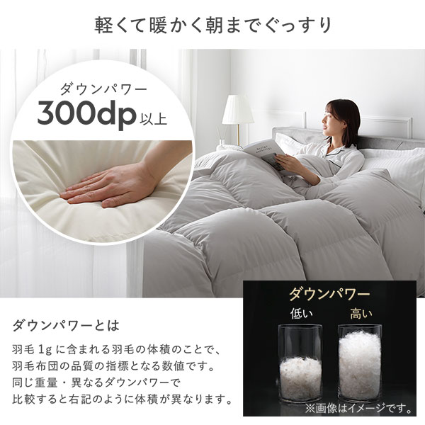 羽毛 掛け布団 セミダブル ライトグレー ダウン率70％ 日本製 高品質ホワイトダックダウン 防ダニ 防花粉 防汚 抗菌 防臭 掛布団 【北海道・沖縄・離島配送不可】_7