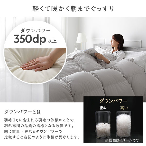 羽毛 掛け布団 シングル ホワイト ダウン率90％ 日本製 高品質ホワイトダックダウン 防ダニ 防花粉 防汚 抗菌 防臭 掛布団 【北海道・沖縄・離島配送不可】_7