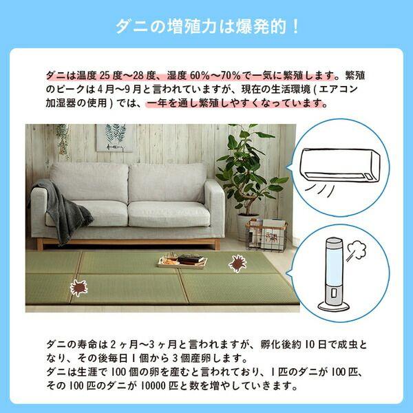 置き畳 い草 日本製 消臭 抗菌防臭 壁蝨目引き伸ばし押さえ付ける 無地 約82×82×1.8糎 4P 4枚組 【北海道・沖縄・離島送りとどける不可】