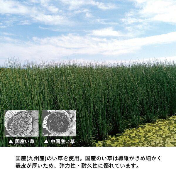 置き畳 い草 日本製 消臭 抗菌防臭 壁蝨目引き伸ばし押さえ付ける 無地 約82×82×1.8糎 4P 4枚組 【北海道・沖縄・離島送りとどける不可】