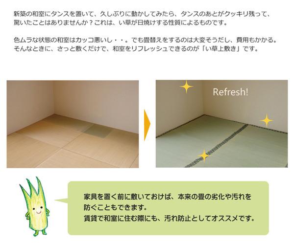 純国産/日本製 双目織 い草上敷 『松』 三六間8畳（約364×364cm） 【北海道・沖縄・離島配送不可】_6