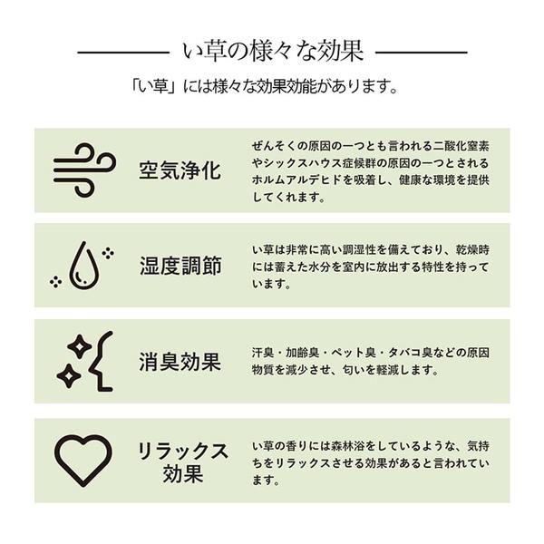 い草ラグ 花ござ カーペット 格子柄 ナチュラル シンプル 和室 洋室 裏不織布滑り止め 滑りにくい 抗菌防臭 消臭 本間6畳(約286×382cm) レイクブルー 【北海道・沖縄・離島配送不可】_5