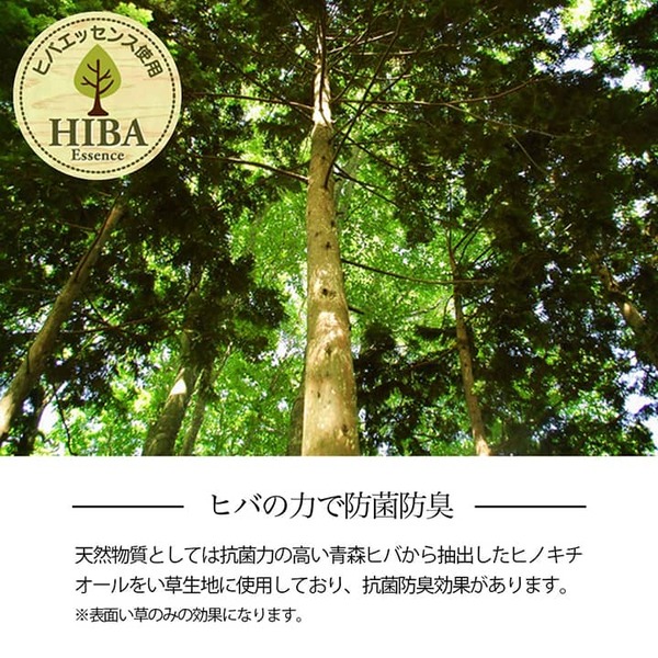 い草ラグ 花ござ カーペット 格子柄 ナチュラル シンプル 和室 洋室 裏不織布滑り止め 滑りにくい 抗菌防臭 消臭 本間6畳(約286×382cm) レイクブルー 【北海道・沖縄・離島配送不可】_7