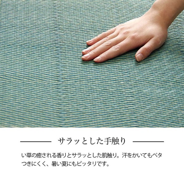 い草ラグ 花ござ カーペット 格子柄 ナチュラル シンプル 和室 洋室 裏不織布滑り止め 滑りにくい 抗菌防臭 消臭 本間6畳(約286×382cm) レイクブルー 【北海道・沖縄・離島配送不可】_8