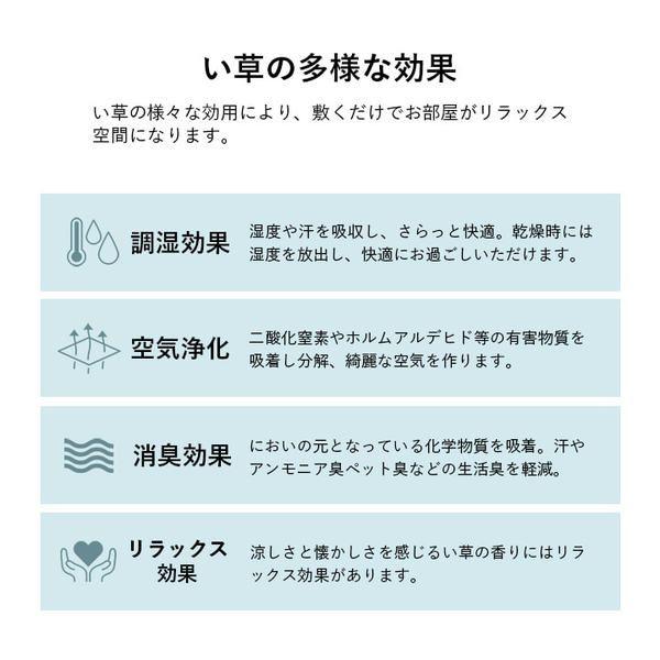 い草 畳 自然素材 カーペット ラグ インテリア 夏用 無地 涼しい ダイヤ柄 シンプル クッション性 グリーン 約240×320cm 【北海道・沖縄・離島配送不可】_6