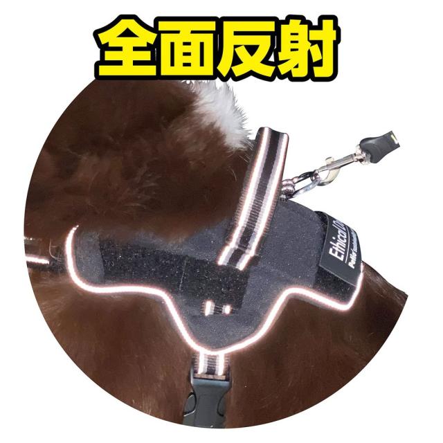 ペティオ 犬用胴輪 EthicalDoor イージーウェアハーネス S ブラック 犬用 【北海道・沖縄・離島配送不可】