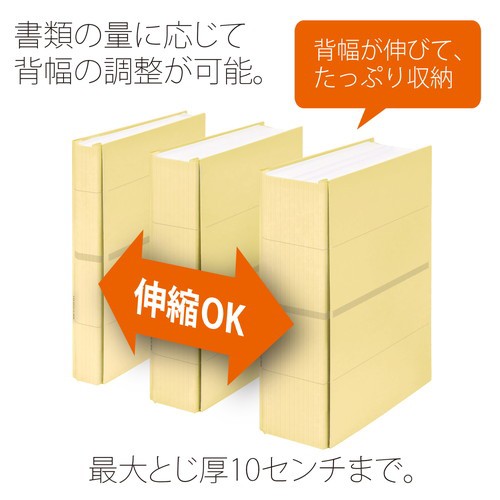 まとめ買い）プラス 背幅伸縮フラットファイル セノバス つづりひも