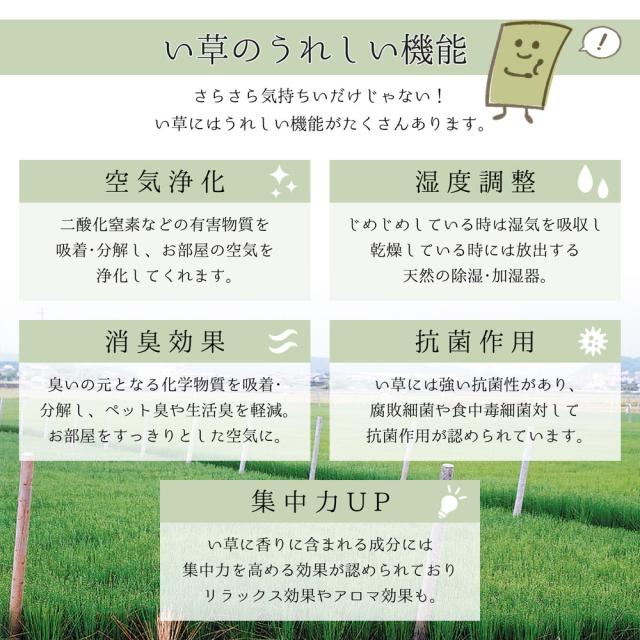 国産い草引っ敷き（裏貼り） 〔月灯かり〕 191×191糎 マルチ色合い 【北海道・沖縄・離島送りとどける不可】