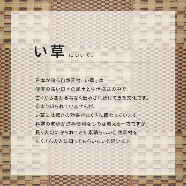 収納簡単 い草ふっくらラグ 〔キハチ〕 180×180cm ブラウン 【北海道・沖縄・離島配送不可】