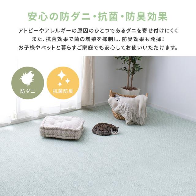 防炎・撥水付き国産高機能カーペット 〔ts121308〕 江戸間 4.5帖（261×261cm） ブルー 【北海道・沖縄・離島配送不可】_3