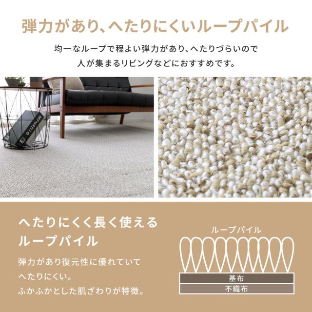 防炎・撥水付き国産高機能カーペット 〔ts121308〕 江戸間 4.5帖（261×261cm） ブルー 【北海道・沖縄・離島配送不可】_6