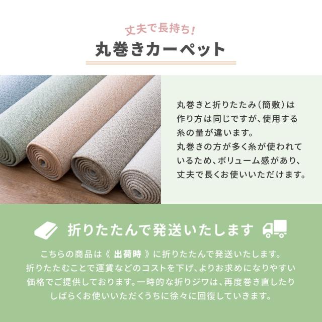 防炎・撥水付き国産高機能カーペット 〔ts121308〕 江戸間 4.5帖（261×261cm） ブルー 【北海道・沖縄・離島配送不可】_8
