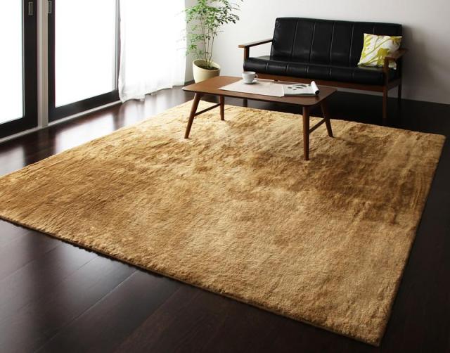 防ダニ・消臭・防炎・抗アレルギー機能付きフェイクファーラグ〔Rojye〕ロジェ 200×200cm ブラック 【北海道・沖縄・離島配送不可】の通販は 20,316円