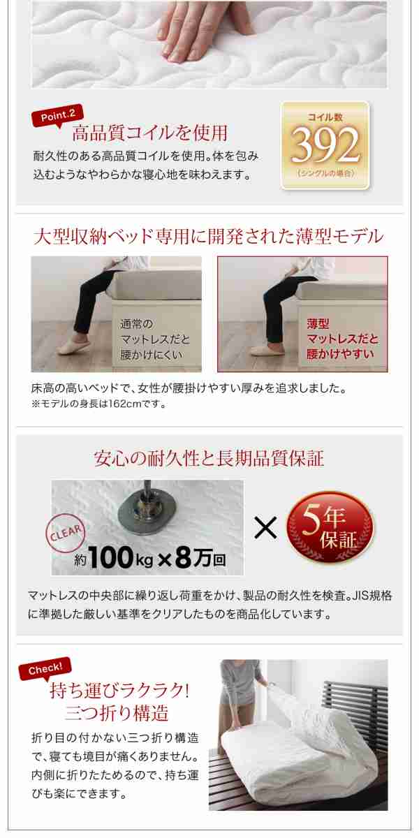 コンパクト収納ベッド フルーメン 〔薄型抗菌国産ポケットコイルマットレス付き〕 シングル ナチュラル