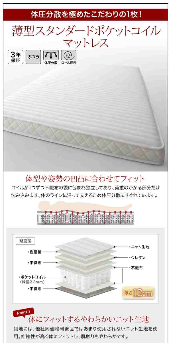 衣装ケースも入る大容量収納ベッド 〔Friello〕 〔薄型スタンダード