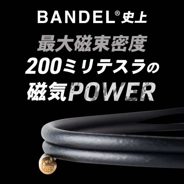 送料無料 バンデル ヘルスケア ループ フィット BANDEL Healthcare Loop fit accessory 磁気ネックレス 医療機器  血行促進 肩こり サポ｜au PAY マーケット