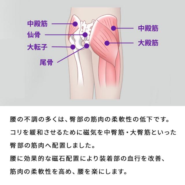 【正規販売店】 コラントッテ MAGサポーター 腰 クロスベルト Colantotte MAG Supporter Waist　X　belt S M Lサイズ 磁気 正規品 医療機器 こし こし用サポーター 腰用サポーター ウエストベルト 腰痛 スポーツ 冷え性対策 ギフト プレゼント 父の日 母の日 ギフト_3