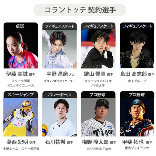 【正規販売店】 コラントッテ ネックレス クレスト プレミアム 磁気ネックレス Colantotte_8