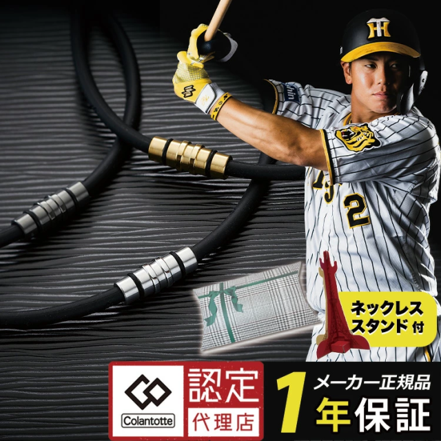 ネックレス クレスト プレミアムカラー PGD ABAAS52 (ブラック